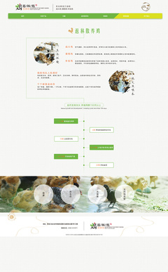 返林散養(yǎng)雞官網(wǎng)設計效果圖展示